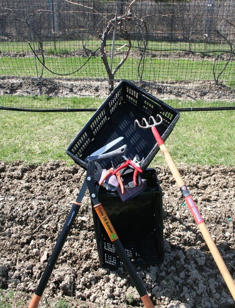 Tools Pruned Vine Background