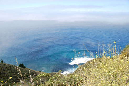 View of an ocean from a grassy hill.