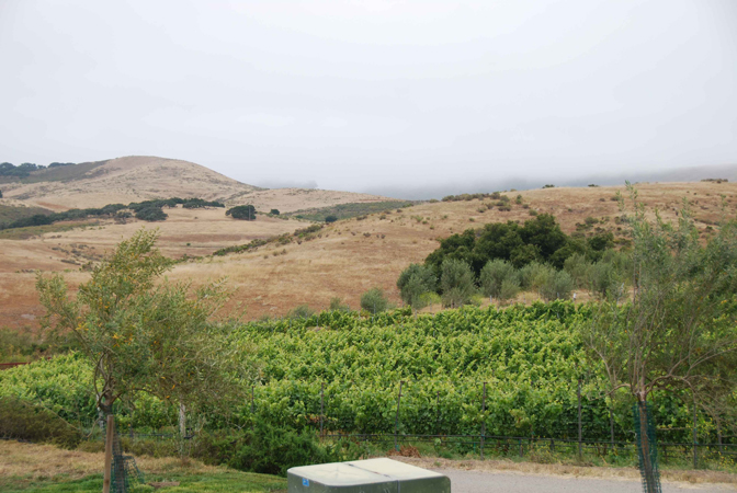 View of hills and trees.