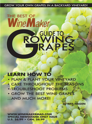 Guide to Growing Grapes
