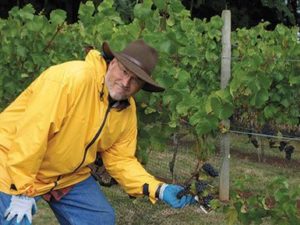 Keys To Blending Wines: Jeff Waddell '10