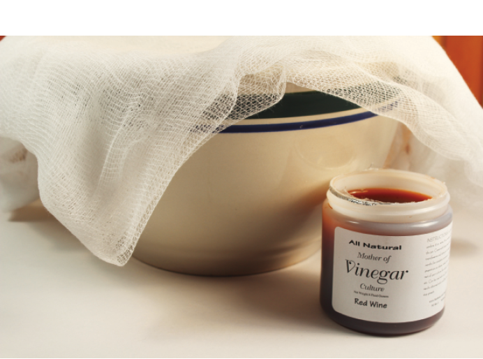 vinegar mother