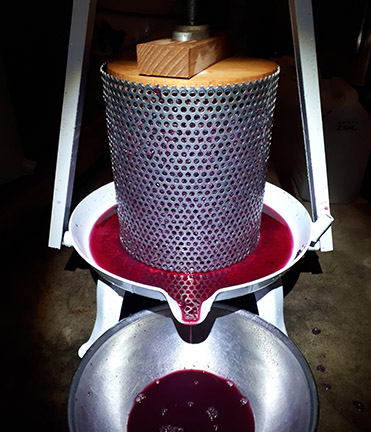Stainless steel basket press.