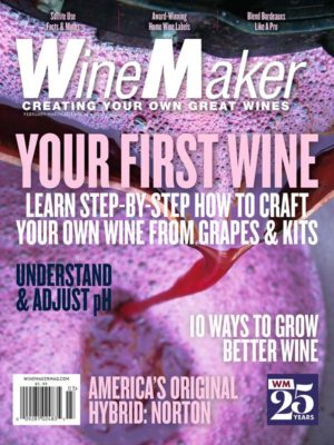 cover image for the February-March issue of WineMaker magazine