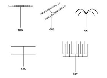 Five trellising system design illustrations.