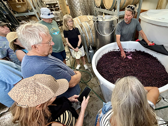 Winemaker talks to group around fermenter full of red grapes.