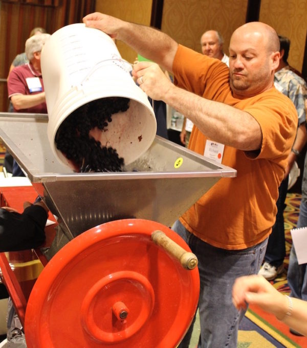 Man pours a bucket of grapes into a wine press while other people watch.