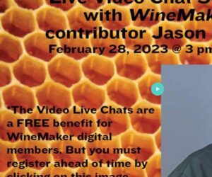 Live Chat banner playback for Jason Phelps which took place February 28, 2023