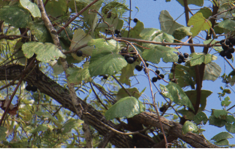 Jack Keller Archives