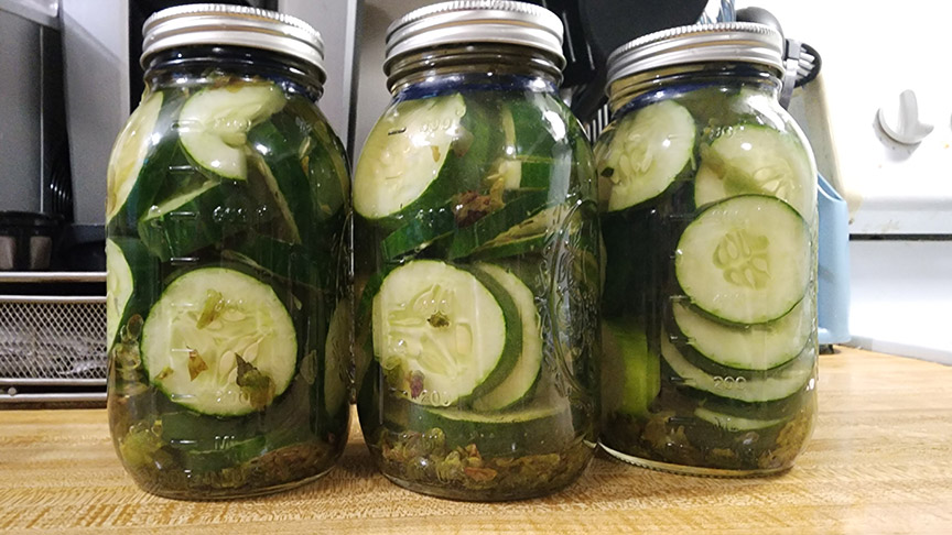 Glass jars of pickles in brine.
