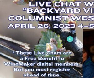 Banner for the April Live Chat with Wes Hagen that links to the playback.