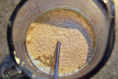 dry yeast being rehydrating in a measuring cup