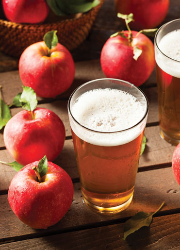 How many apples to make a gallon of hard cider Make Hard Cider Apple Wine Winemakermag Com