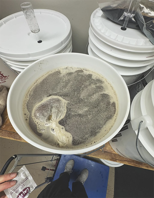Open fermenter with dry yeast poured on top.