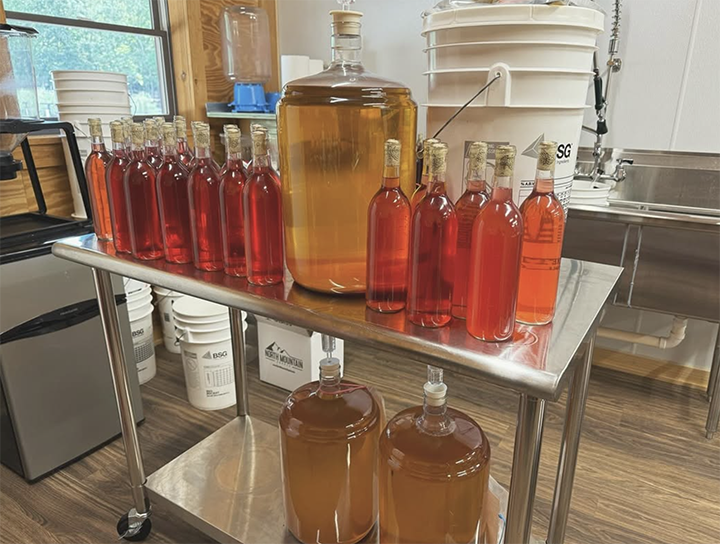 Bottles of wine and filled carboys on a table.