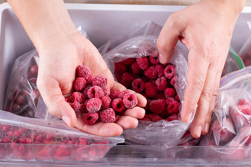 Frozen raspberry in hand, closeup. 