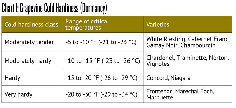 chart that shows the cold tolerance of different wine grape varieties