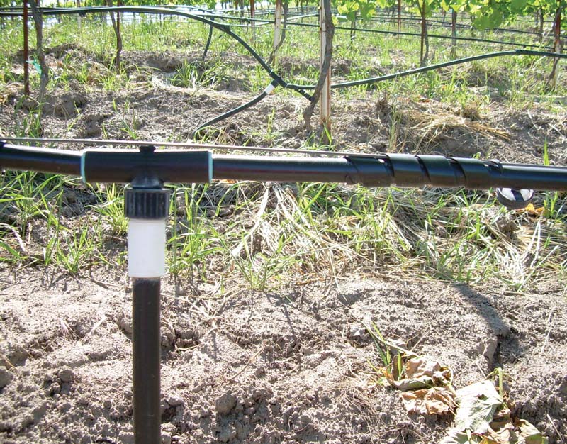 pvc piping in a vineyard moving water for irrigation