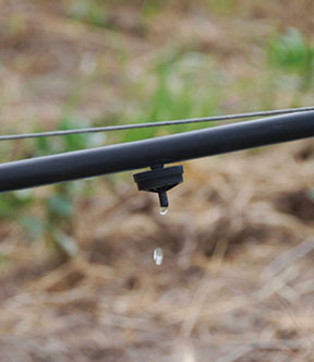 a drip irrigation system with water droplets coming out
