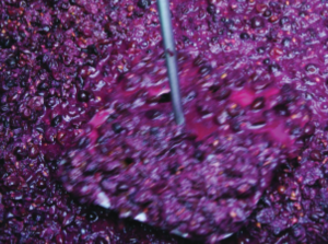 Let’s Get Macerating - WineMakerMag.com