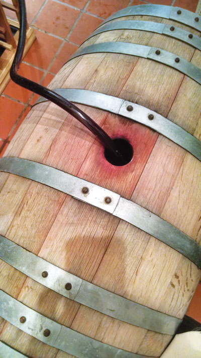 a red wine getting racked into an oak barrel