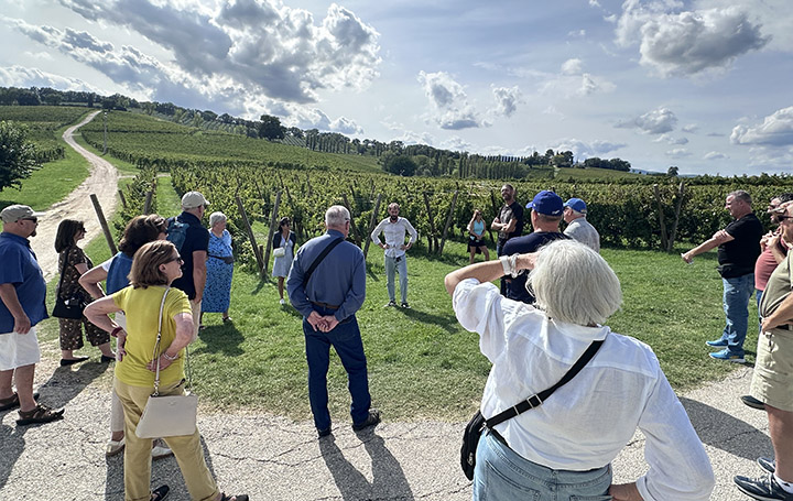 Group of people standing near a large vineyard.