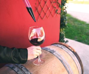 pulling red wine sample from barrel in a wine thief