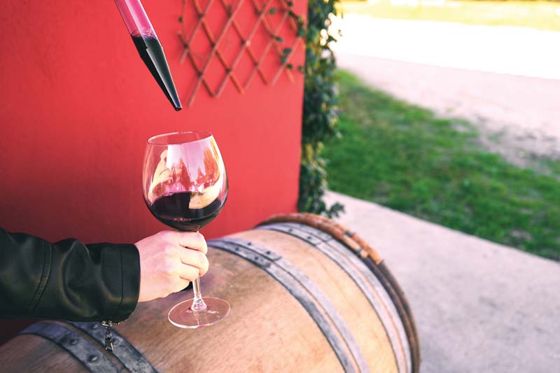 pulling red wine sample from barrel in a wine thief