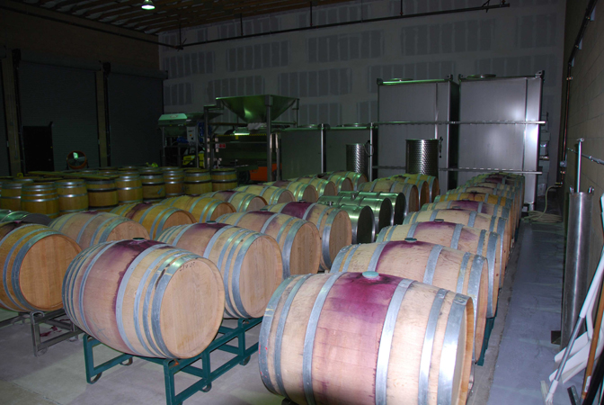 Rows of wine barrels in a dimly lit room.