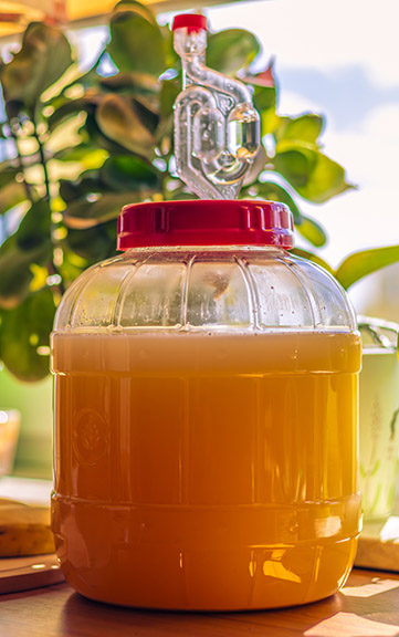 Grape juice in a clear fermenter.